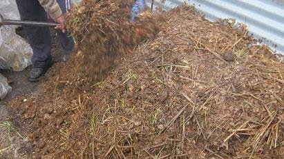 A compost heap, an excellent worm food