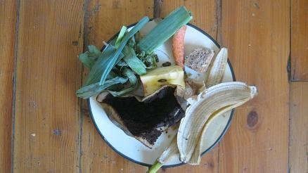 A plate of kitchen scraps that will make good worm food