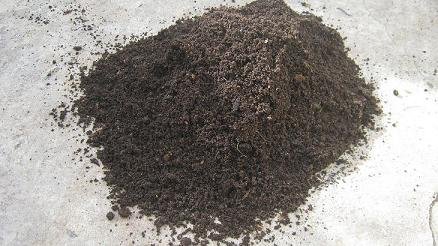 A pile of fresh worm castings