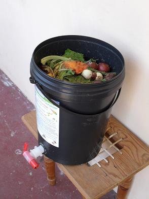Vegetables and eggshells added to a worm bin