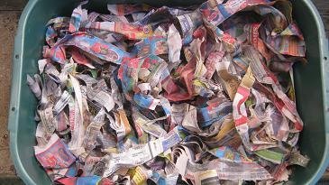 Wet newspaper strips placed in a worm bin