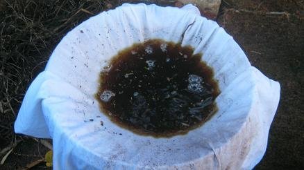 Worm tea prepared for bottling