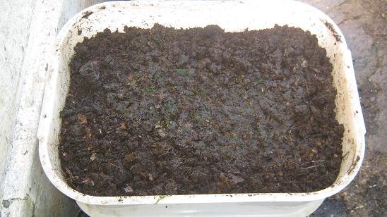 Worm bin with worm castings